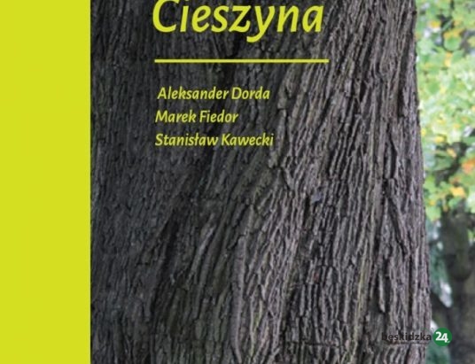 Cieszyn: O pomnikach słów kilka