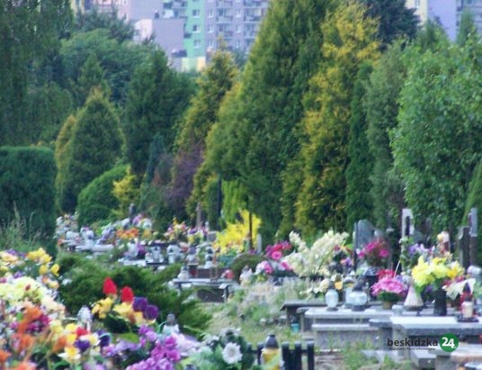 Cmentarze toną w (nieposegregowanych) śmieciach