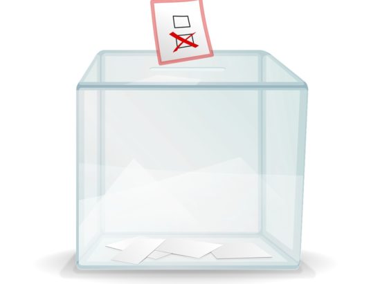 Cieszyńskie: Wyniki komitetów (sejm)