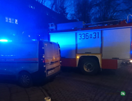 Sześć osób w szpitalu. Atak czadu w Mnichu
