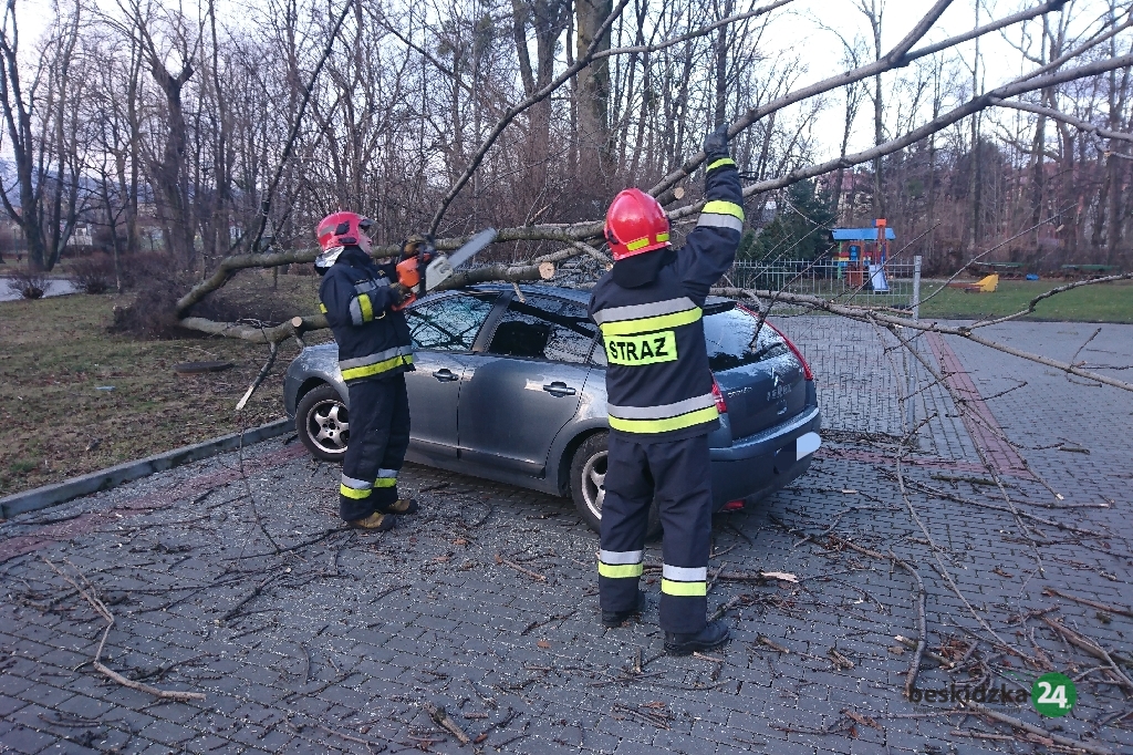 Drzewo spadło na samochód i kobietę Beskidzka24.pl