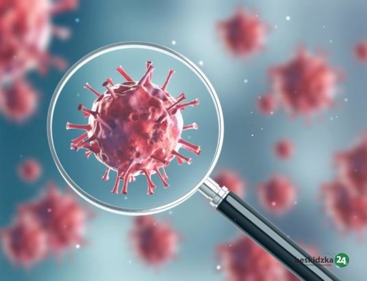 Dane o sytuacji epidemiologicznej w powiecie żywieckim