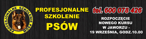 Szkolenia_dla_psow_m