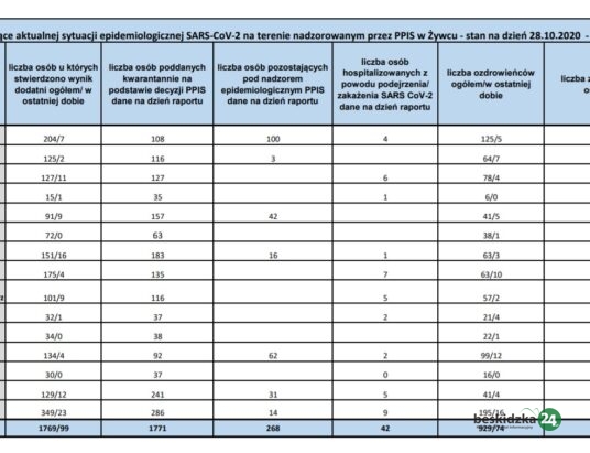 Żywiecczyzna: 1 zgon, 99 zakażeń i 74 ozdrowienia