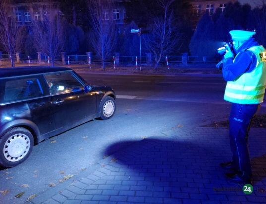 Trzylatek wtargnął na jezdnię. Mama ukarana mandatem – ZDJĘCIA