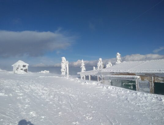 Wracają siarczyste mrozy. Ostrzeżenia dla części regionu