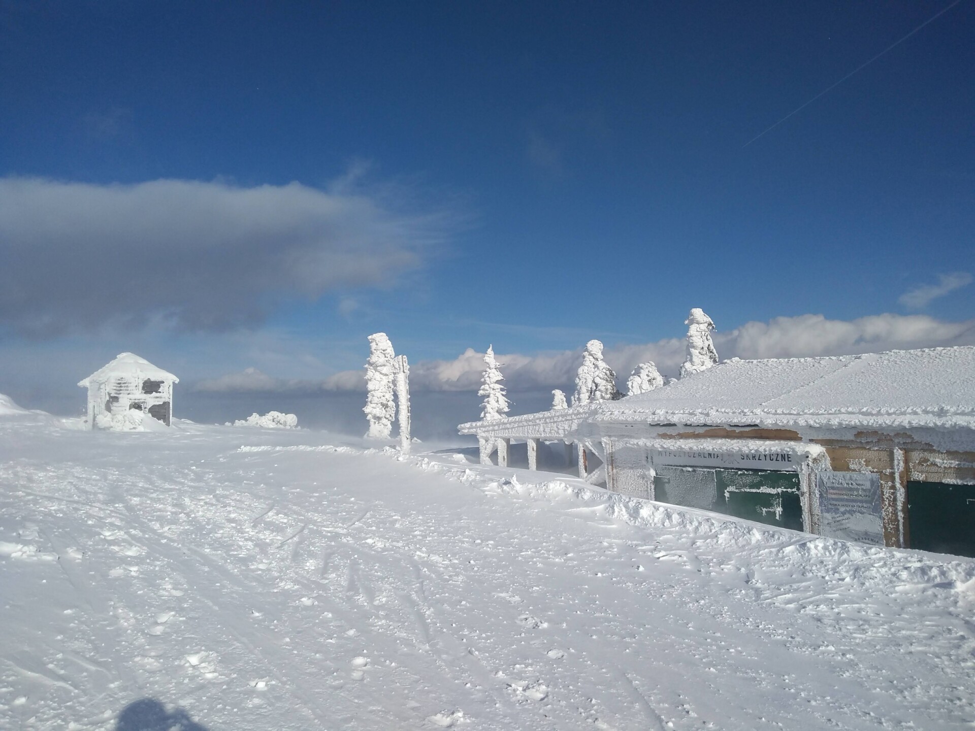 Wracają siarczyste mrozy. Ostrzeżenia dla części regionu