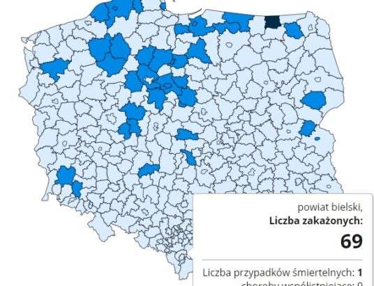 2 zgony i 133 nowe przypadki COVID-19 w Bielsku-Białej i powiecie bielskim