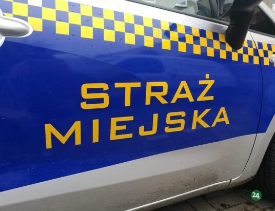 Czechowice-Dziedzice: Strażnicy miejscy ukarali mieszkańca za spalanie śmieci w ogródku