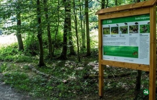 Skup przez cały rok. Oferta dotyczy gruntów w Bielsku-Białej