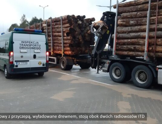 Importowane drewno na wagach ITD. Wpadka w Cieszynie Boguszowicach