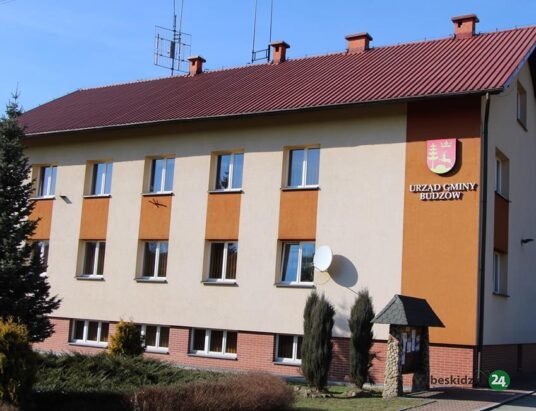 W gminie Budzów dofinansują sterylizację i kastrację psów oraz kotów