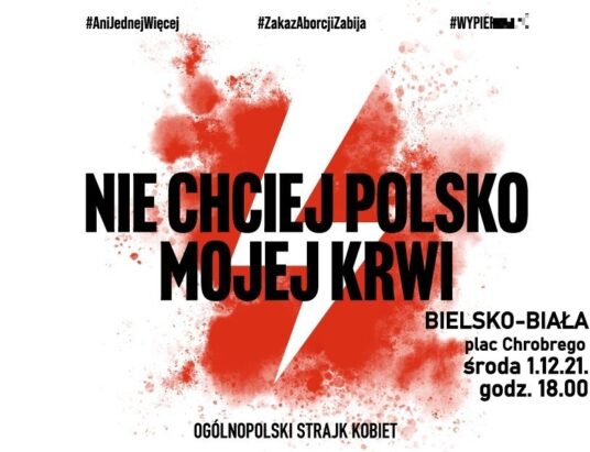 „Nie chciej Polsko mojej krwi”. Protest przeciw „projektowi kobietobójstwa” w Bielsku-Białej