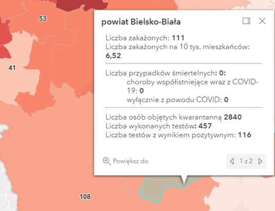 208 zakażeń w Bielsku-Białej i powiecie bielskim. Jedna osoba zmarła