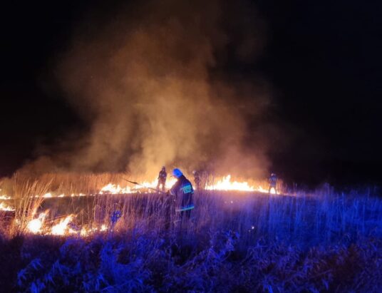 Bat na bezmyślnych piromanów? 30 tys. kary za wypalanie nieużytków