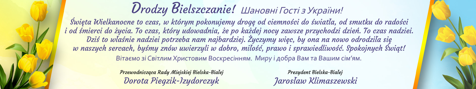 zycz_bb_wd