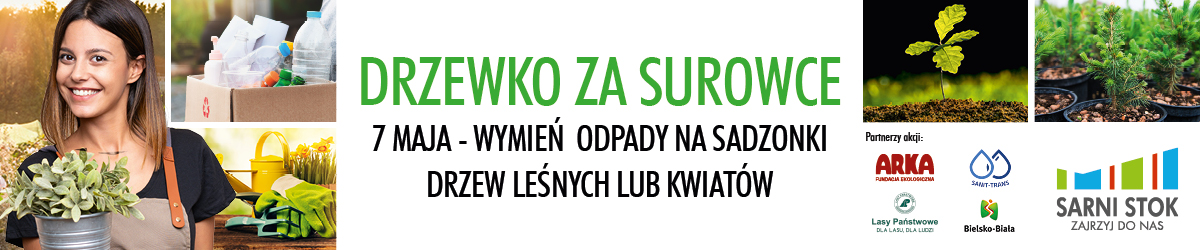 Sarni_drzewko