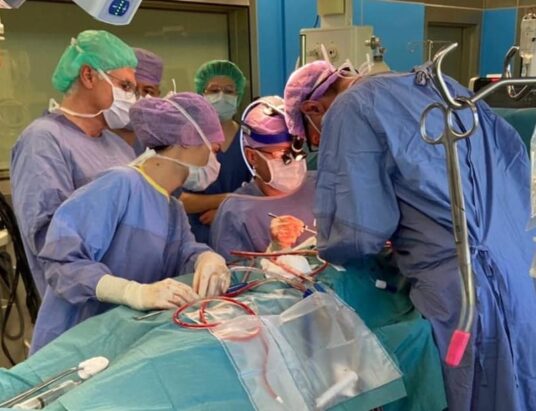 W Bielsku-Białej przeprowadzono arcytrudną operację. Rozległy guz wymagał wycięcia części płuca i przedsionka serca