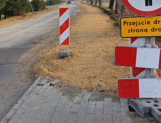 Utrudnienia na ulicach w Bielsku-Białej. Ruszyły prace drogowe