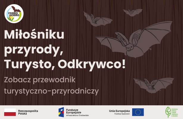 Nietoperze GOV