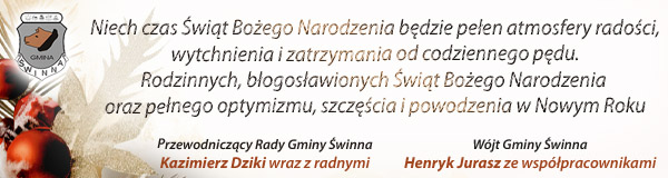 Swinna mobile