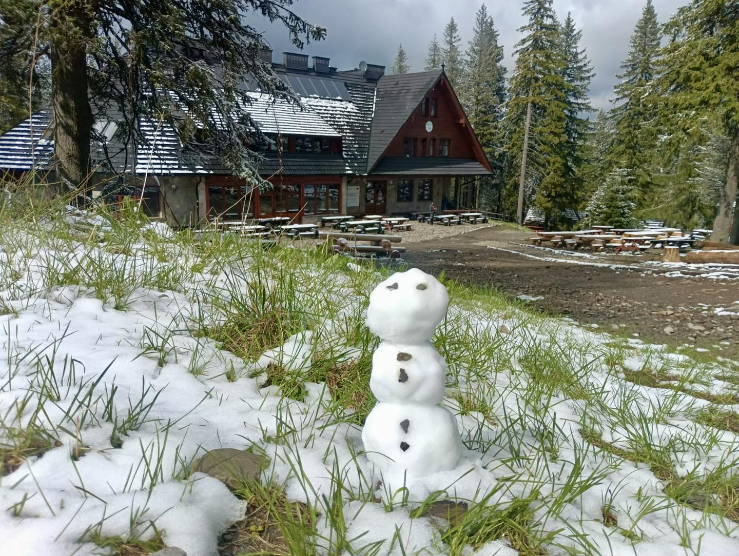 Wyjątkowo zimny maj. Ostatnio nas tak przymroziło 6 lat temu