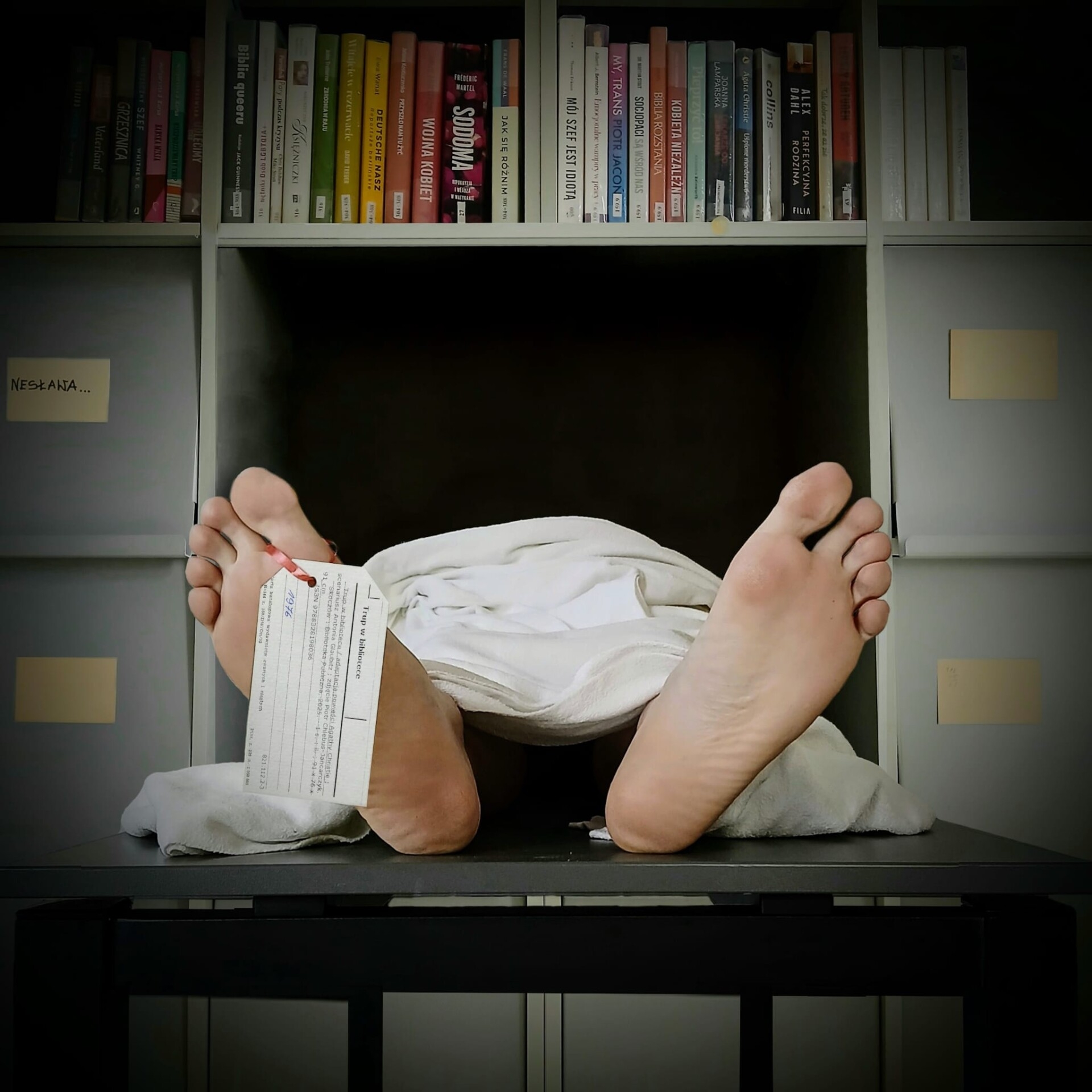 Skoczowski bibliotekarz zbiera laury za zdjęcie „Trup w bibliotece”