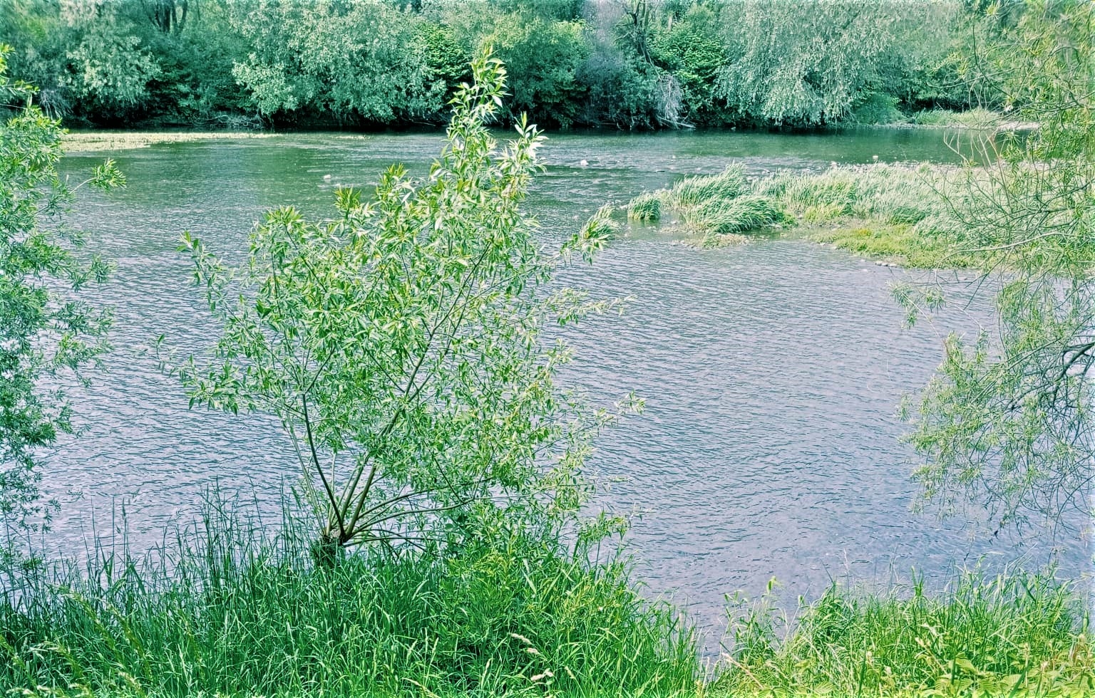 Nad brzegiem Soły znaleziono jej motykę i rower. Kobieta utonęła