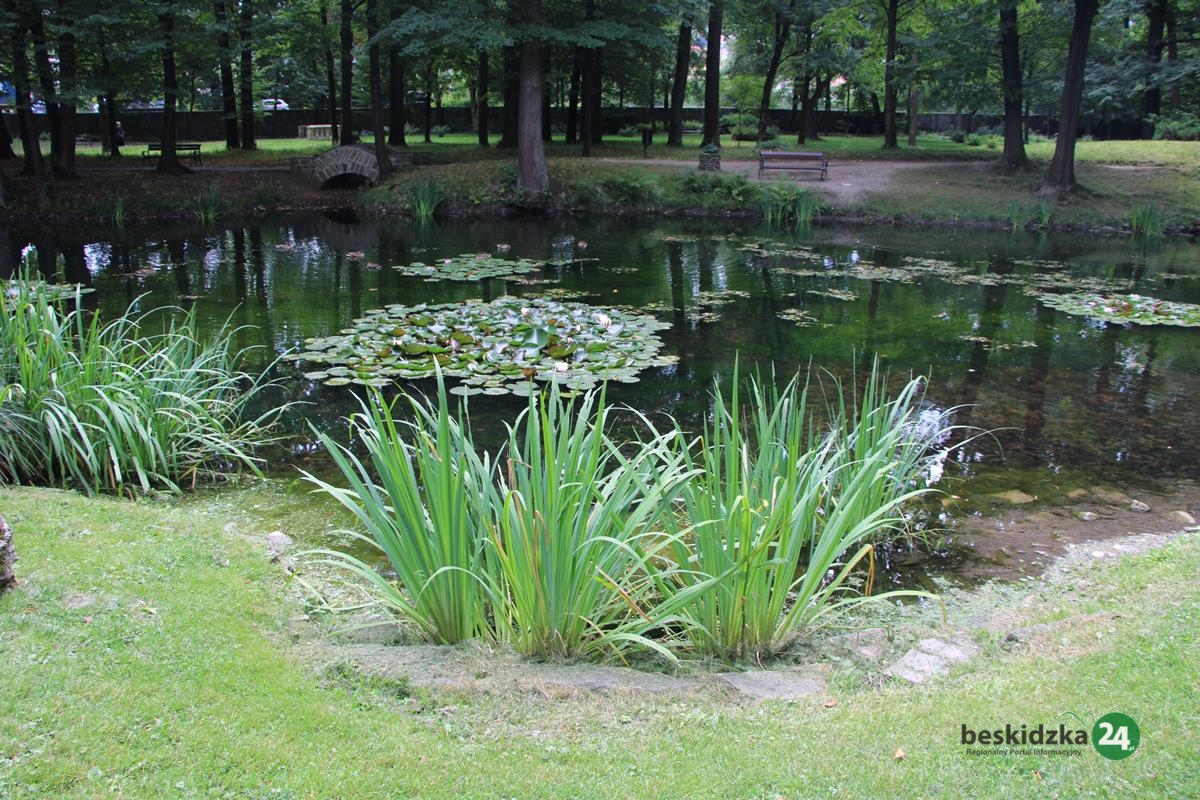 Park w Suchej Beskidzkiej z ograniczeniami