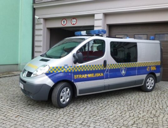 Cieszyn. Reakcja mieszkanki i interwencja strażniczek miejskich uratowały zdrowie mężczyzny na ogródkach działkowych