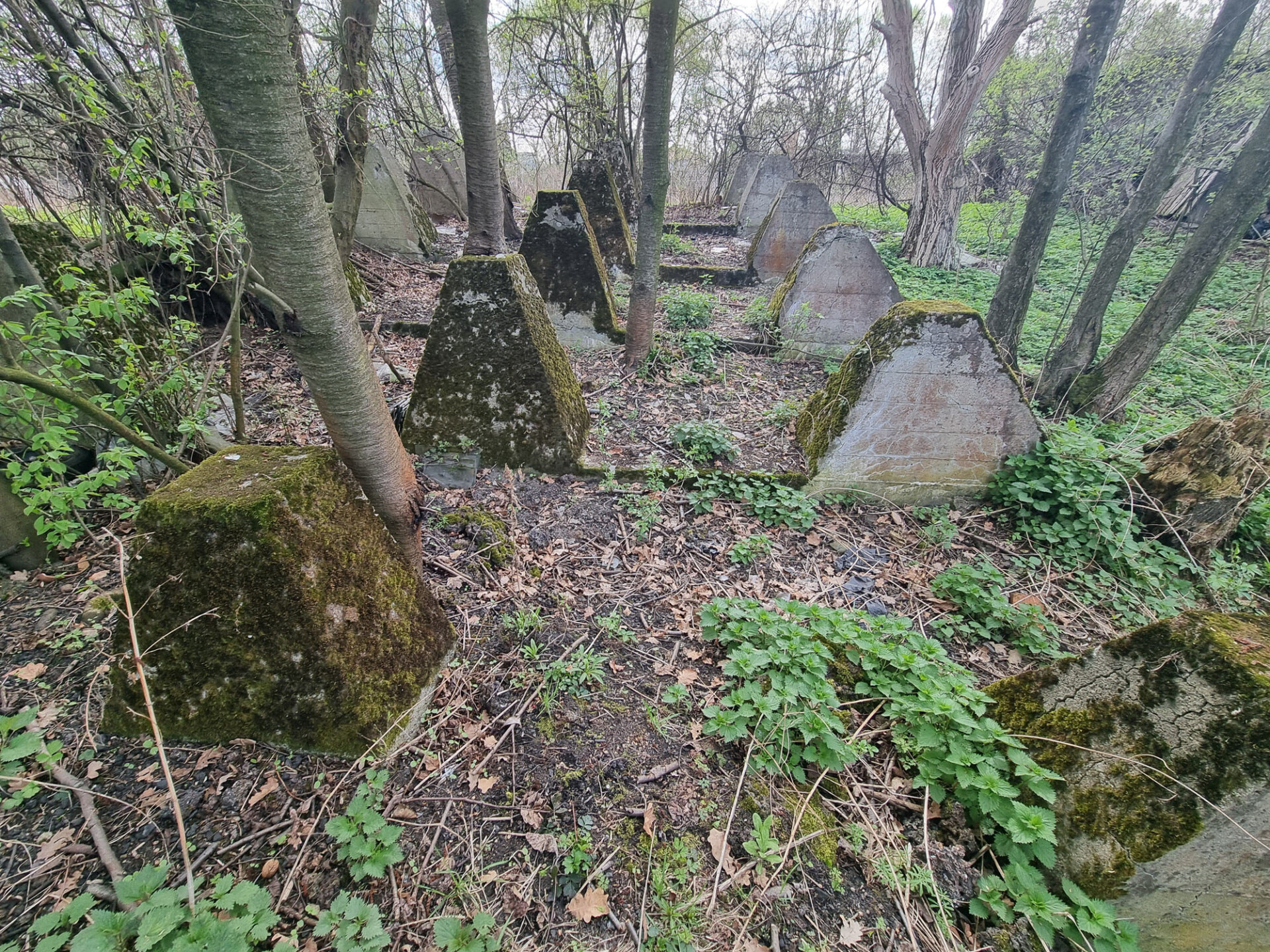 Zęby smoka, czyli fortyfikacje ukryte nad Białą