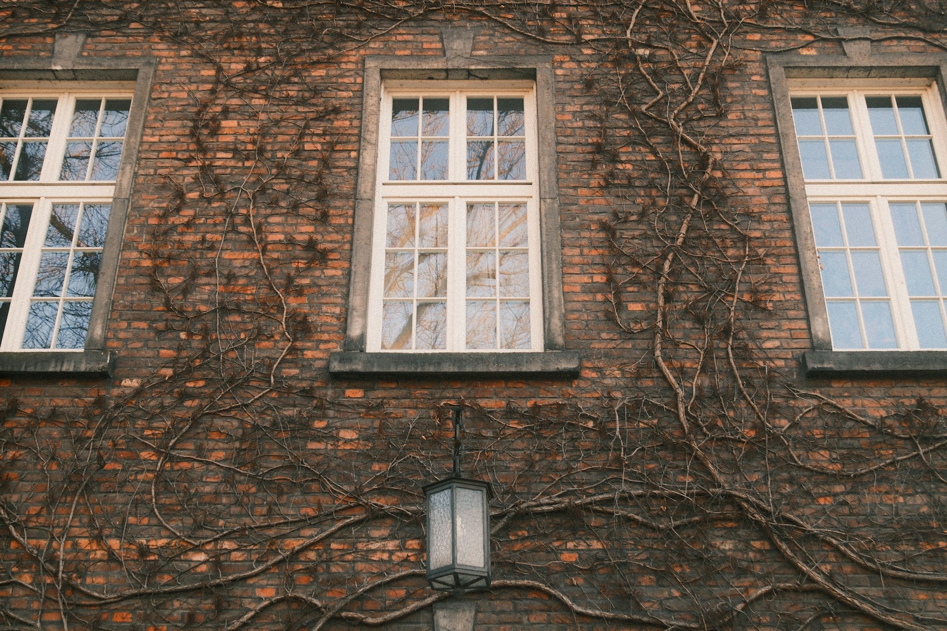 Dlaczego warto wybrać drewniane okna i drzwi?