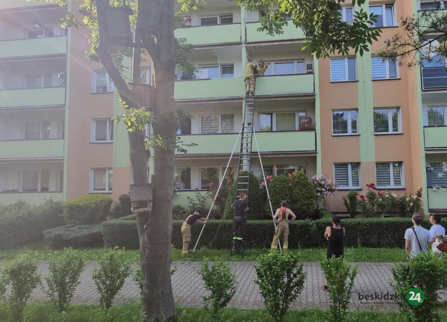 Kot uwięziony na balkonie. Pomogli strażacy
