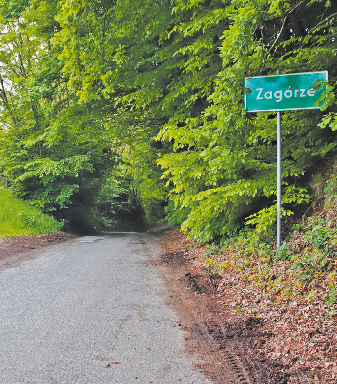 Powiaty się nam kurczą. Jak temu zaradzić?