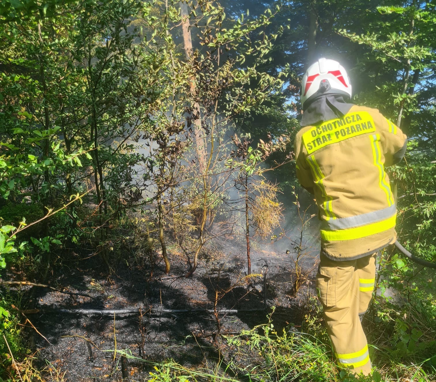 Ponad 30 razy interweniowali z powodu upałów. Palił się m.in. las w rejonie Chrobaczej Łąki i Gaików