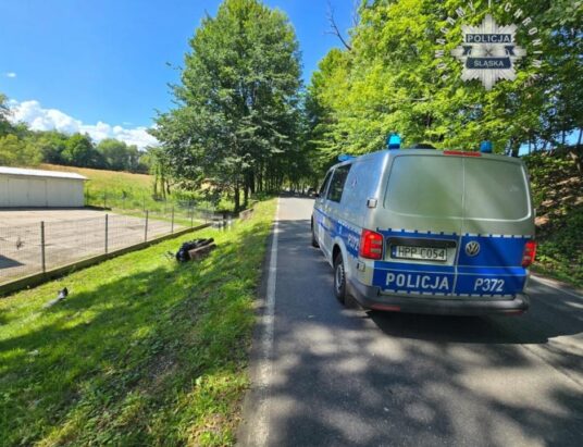 Śmiertelny wypadek motocyklisty w Puńcowie. Nie żyje 25-latek