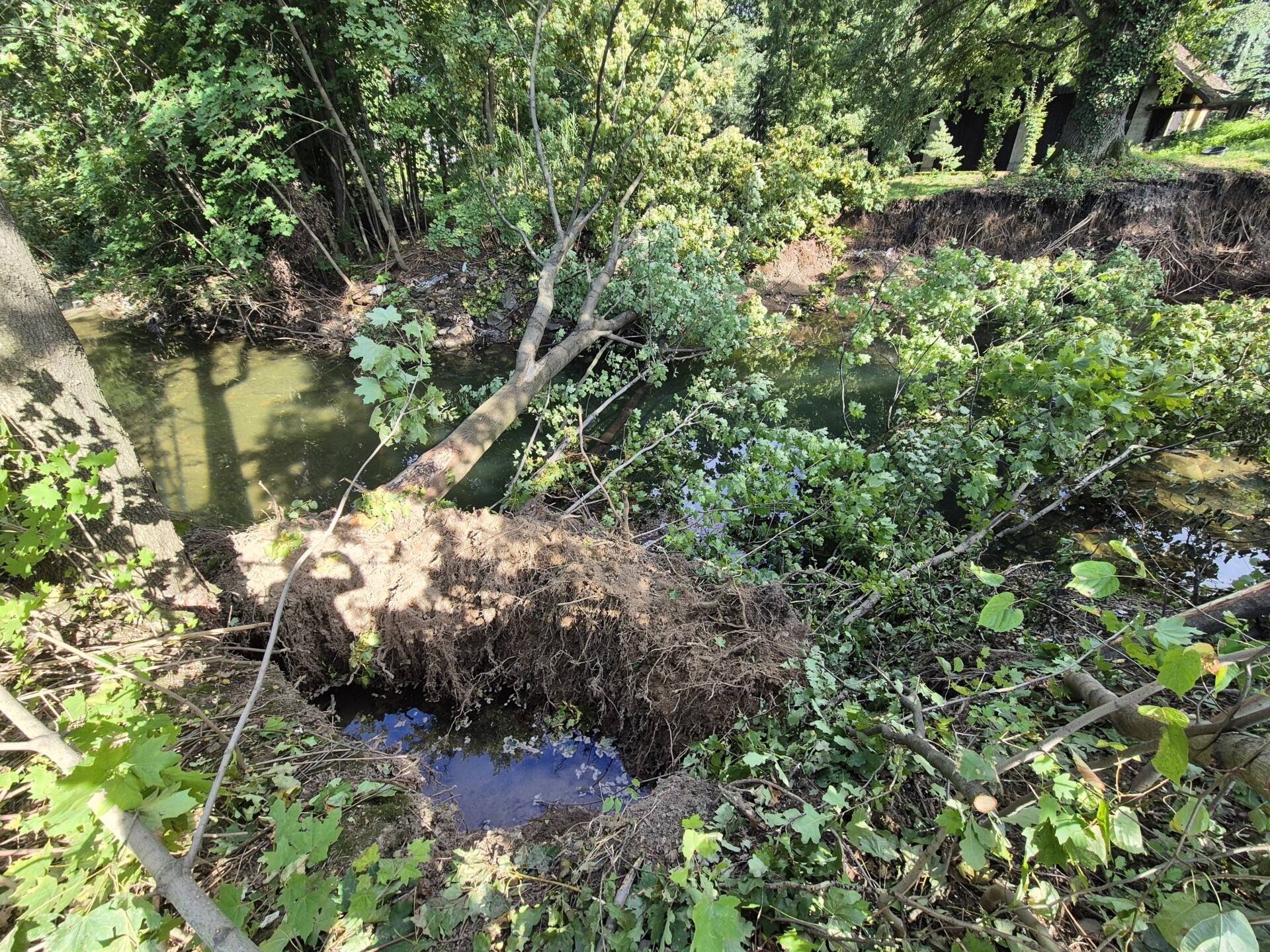 Rok po powodzi w Pisarzowicach. Co robią Wody Polskie?