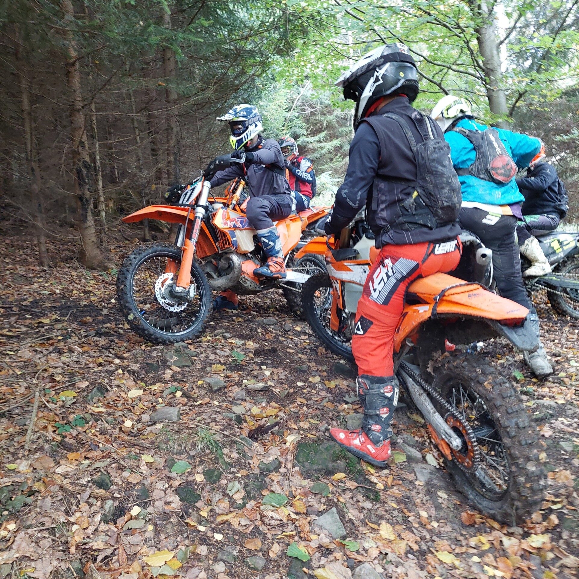 Rozjeżdżają Beskidy i czują się bezkarni
