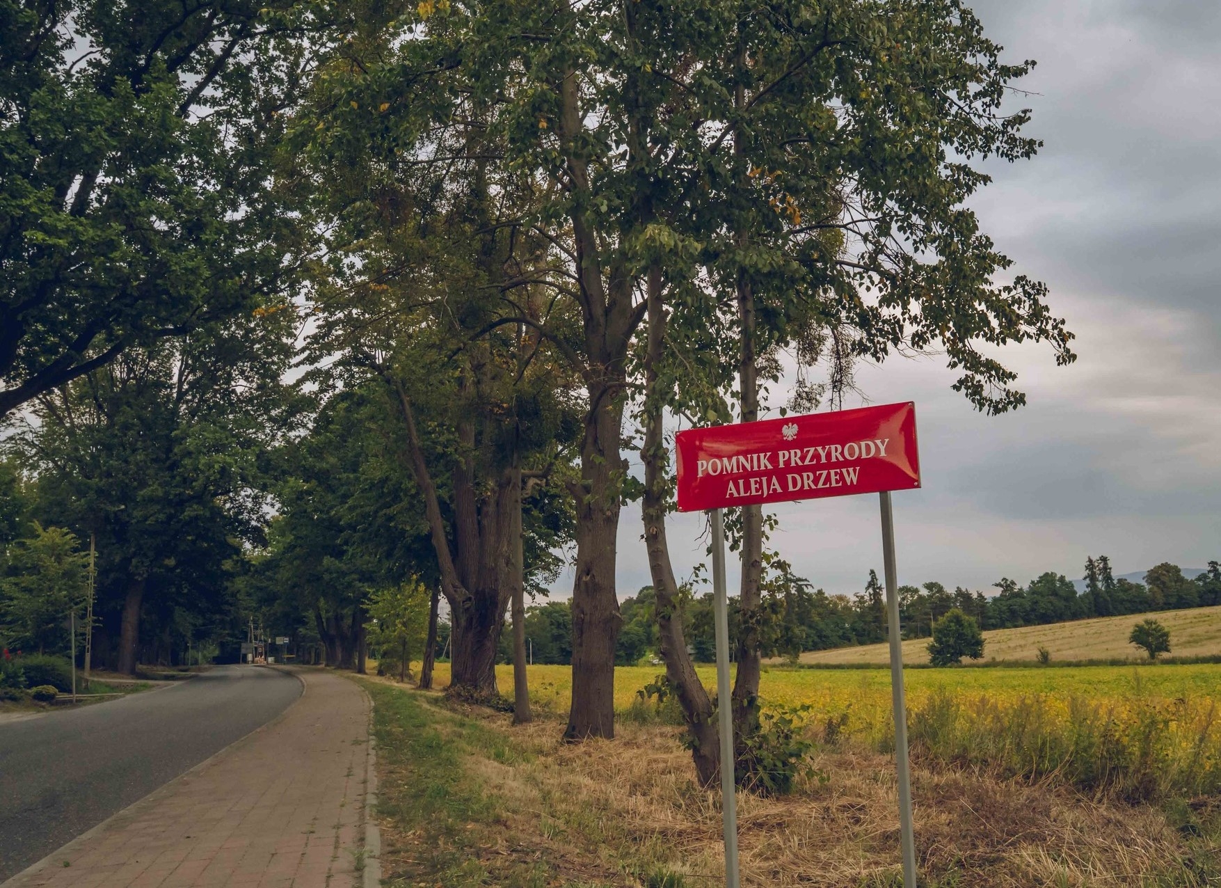 Zieleń w Strumieniu rośnie w siłę. Gmina zachęca do zgłaszania przyrodniczych perełek