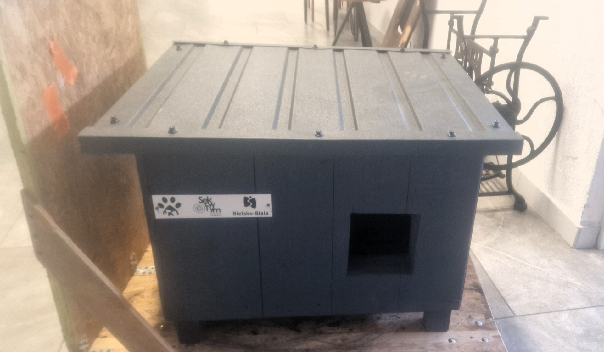 Produkują domki dla bezdomnych kotów. Trzeba zabezpieczyć zwierzęta na zimę