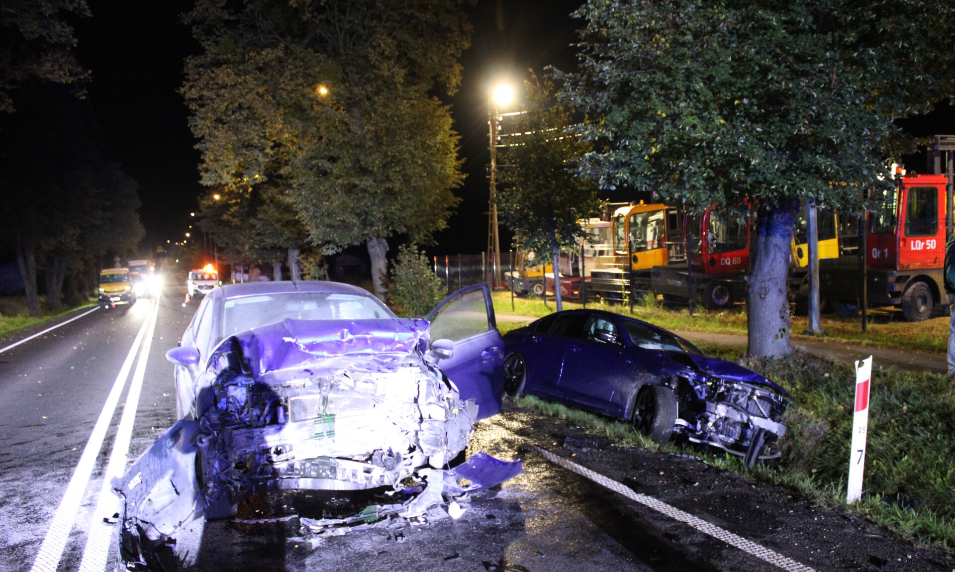 Dwie osoby w szpitalu i martwe stado dzików. Makabryczna czołówka w Kętach