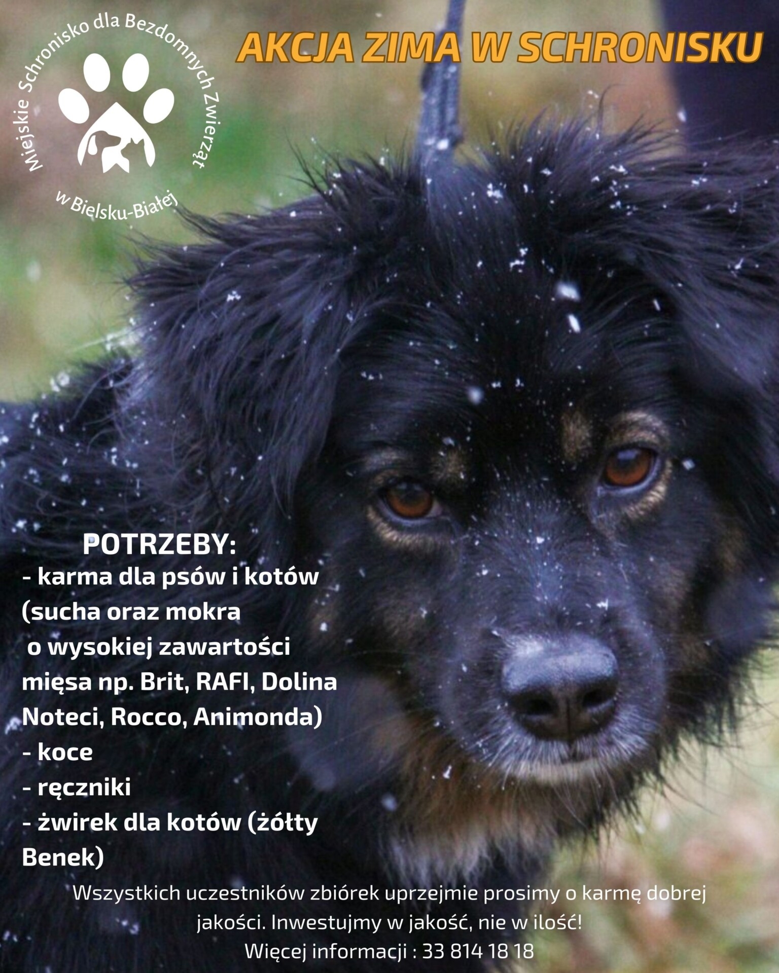 Nie pozwól, by zmarzły. Pomóż zwierzakom ze schroniska