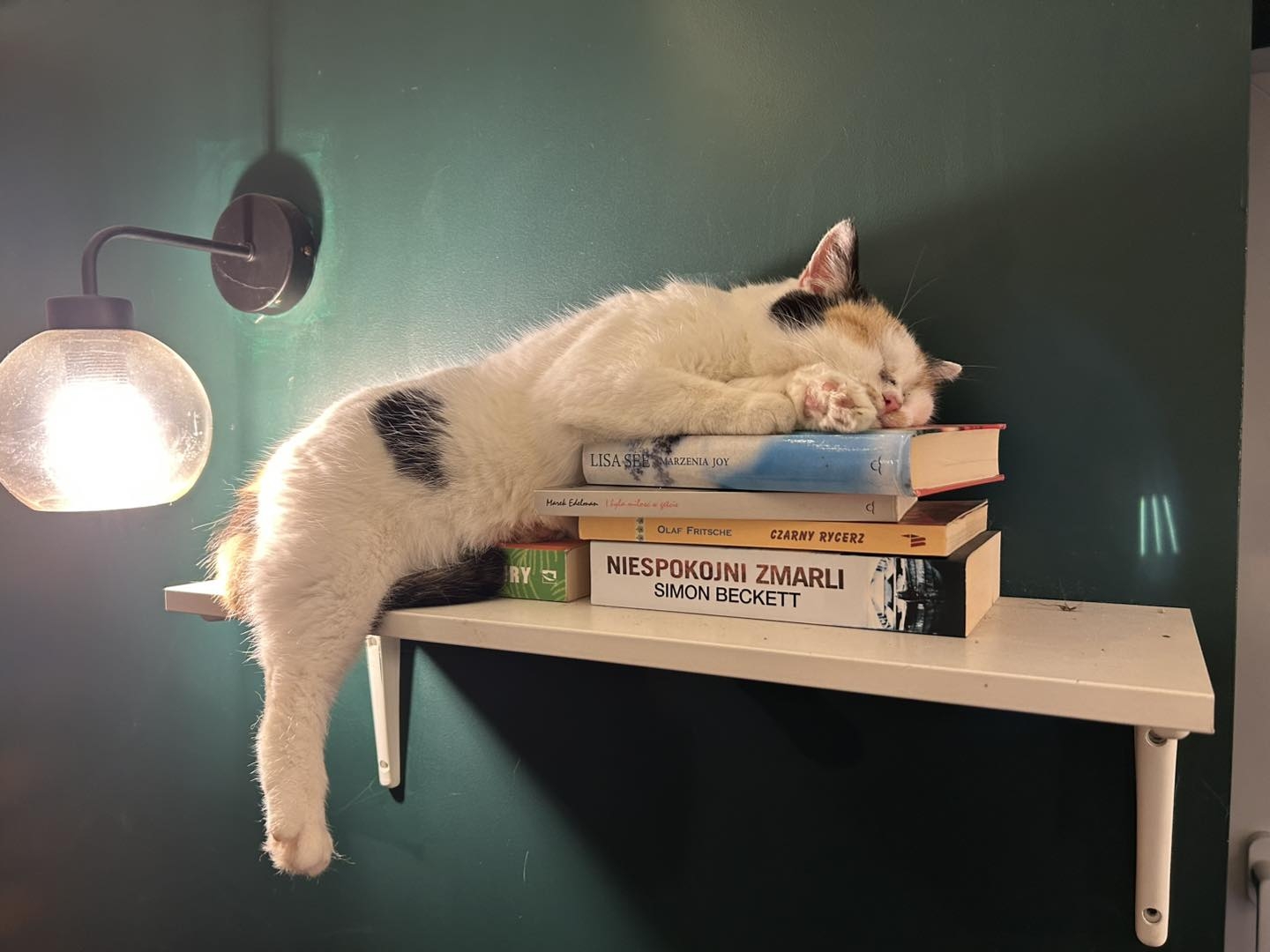 Zamyka się kolejna kawiarnia. Jedyne takie miejsce w mieście