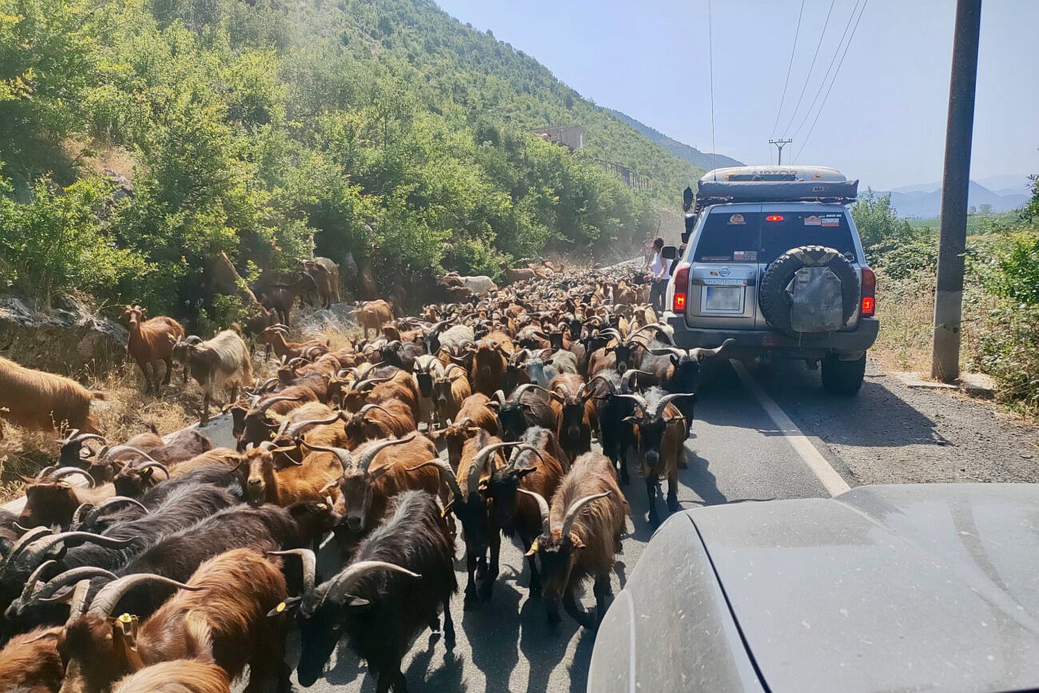 Wyprawa terenówką po bezdrożach – korzyści z wynajmu