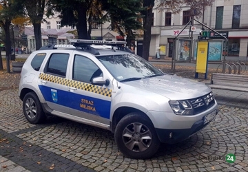 Ustroń. Wspólna akcja i cel. Inspektorzy i strażnicy przeciw nieuczciwym przewoźnikom