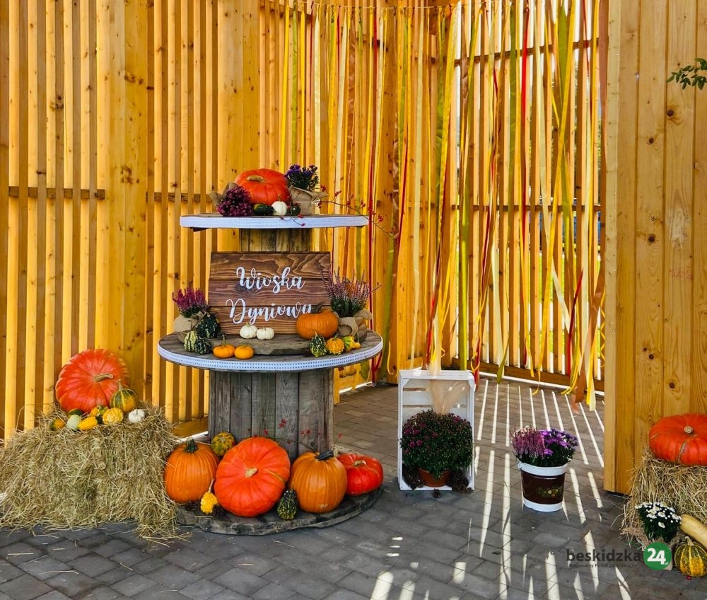 Wioska Dyniowa po raz kolejny powstała w gminie Goleszów