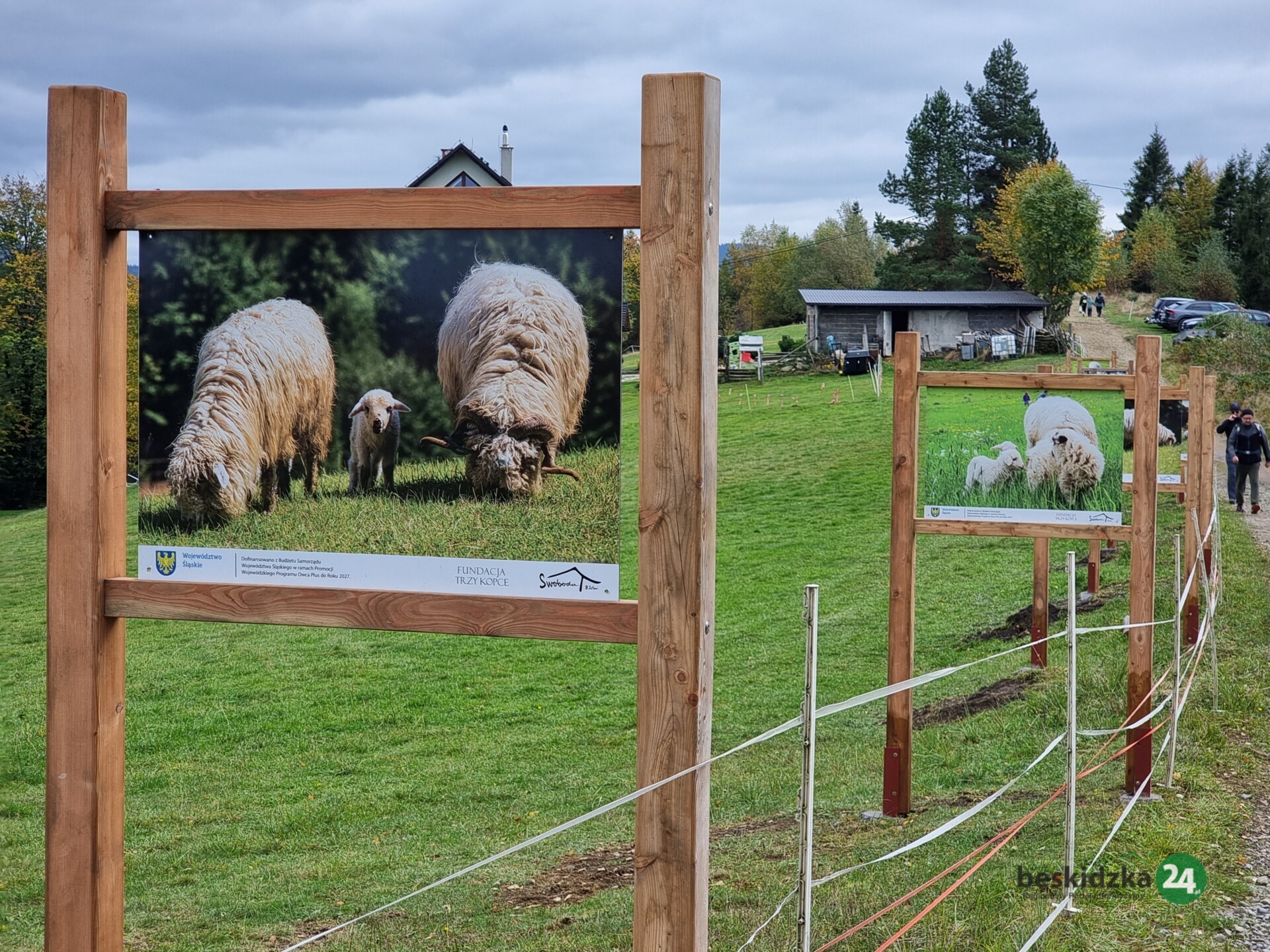 Sejmik Województwa Śląskiego postanowił. Rok 2026 Rokiem Górali i Obrzędów Pasterskich