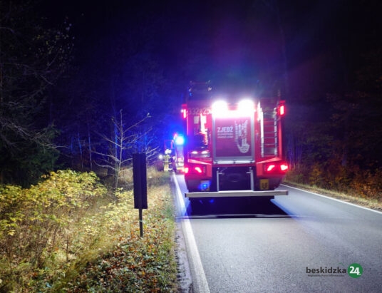 Landek: Wywrócił się na motocyklu. Poszkodowanego odwieziono do szpitala – foto