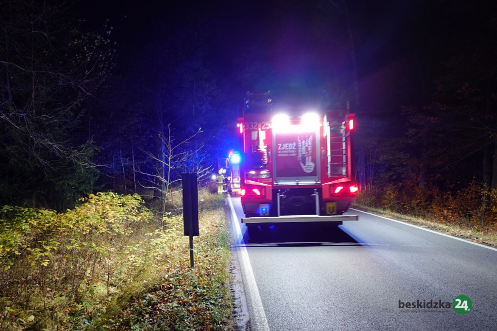 Landek: Wywrócił się na motocyklu. Poszkodowanego odwieziono do szpitala – foto