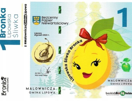 Zamieszanie o maskotkę gminy Lipowa